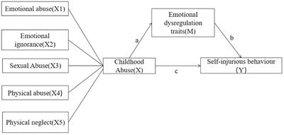 The relationship between non-suicidal self-injury and childhood abuse in transgender people: a cross-sectional cohort study